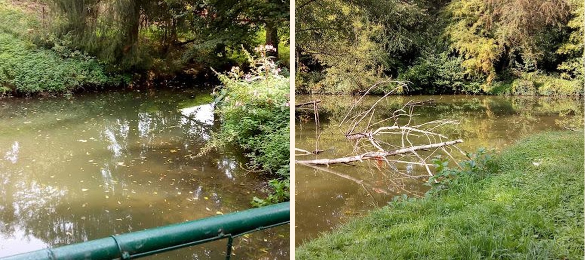 LE JARDIN DES PÊCHEURS - Gallery Image 7